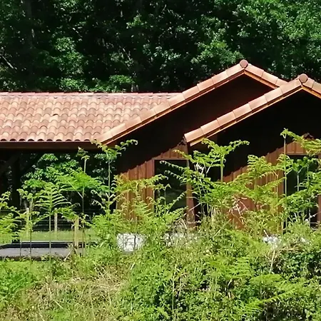 Villa En Foret Landaise Avec Jacuzzi D'interieur