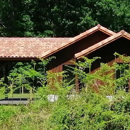 فيلة En Foret Landaise Avec Jacuzzi Dinterieur Pissos