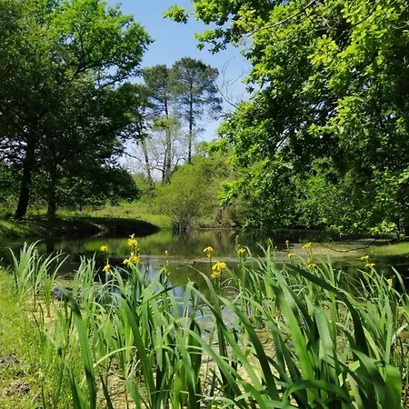 En Foret Landaise Avec Jacuzzi Dinterieur Vila